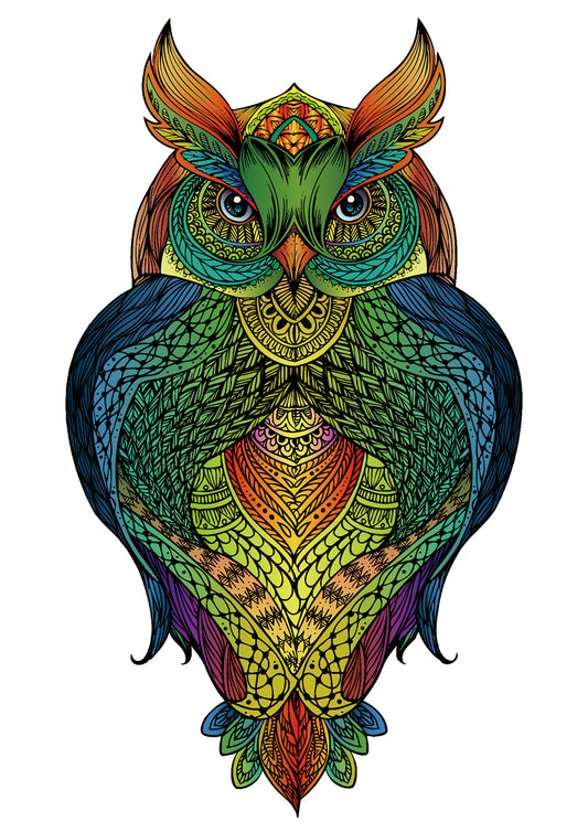 Eureka Rainbow Wooden Puzzle - OWL